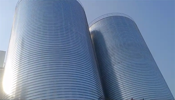 临潼2座混凝土高架卷板仓